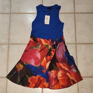 Ted Baker Blue and Multicolor Floral Midi Dress
